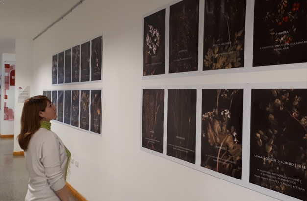 La UNTDF inauguró la muestra “Herbario”