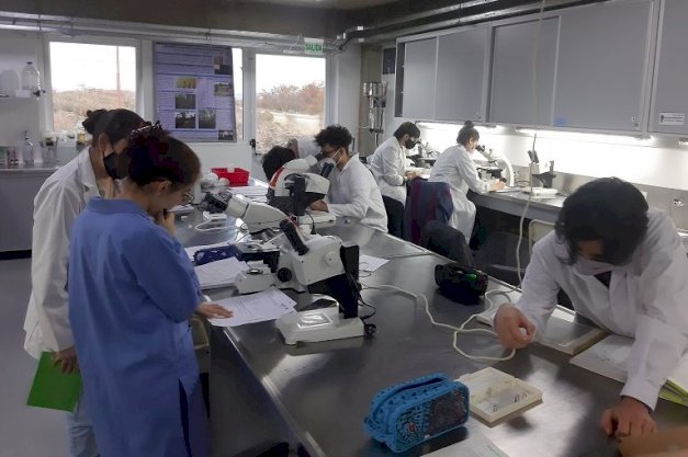 en la imagen se puede ver a estudiantes de biologia en el laboratorio