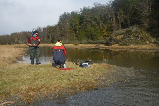 Estudian el ADN de los ríos fueguinos para diversificar la pesca deportiva en la región